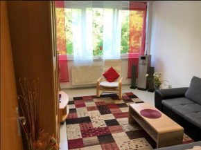 Apartment Uniklinik Mainz